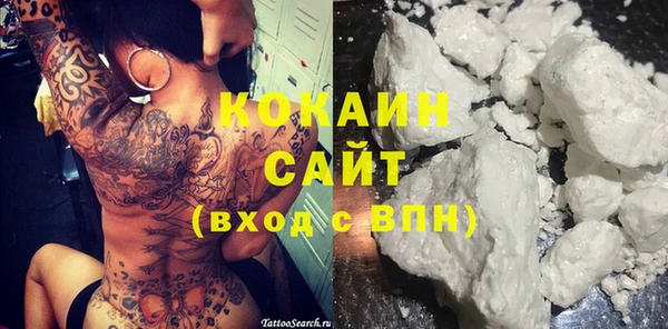 индика Алексеевка